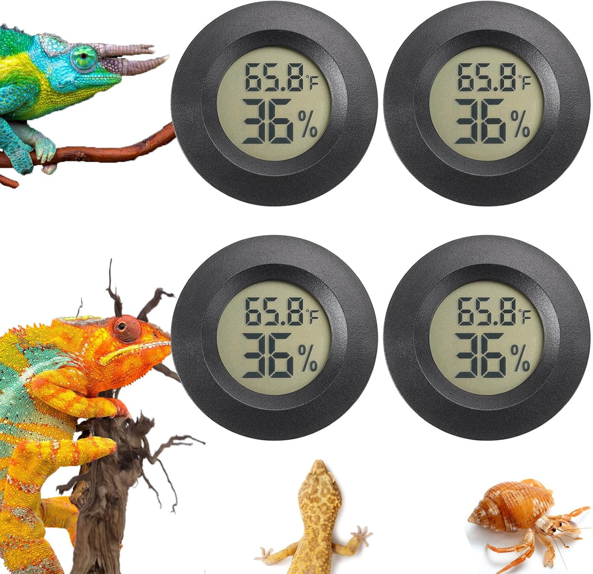 Reptile Thermometer and Humidity Gauge Digtal Terrarium Thermometer - 4 / Circular