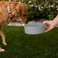 Loving Pets, Dolce Bamboo - Slate Grey / Small Dish - image 4