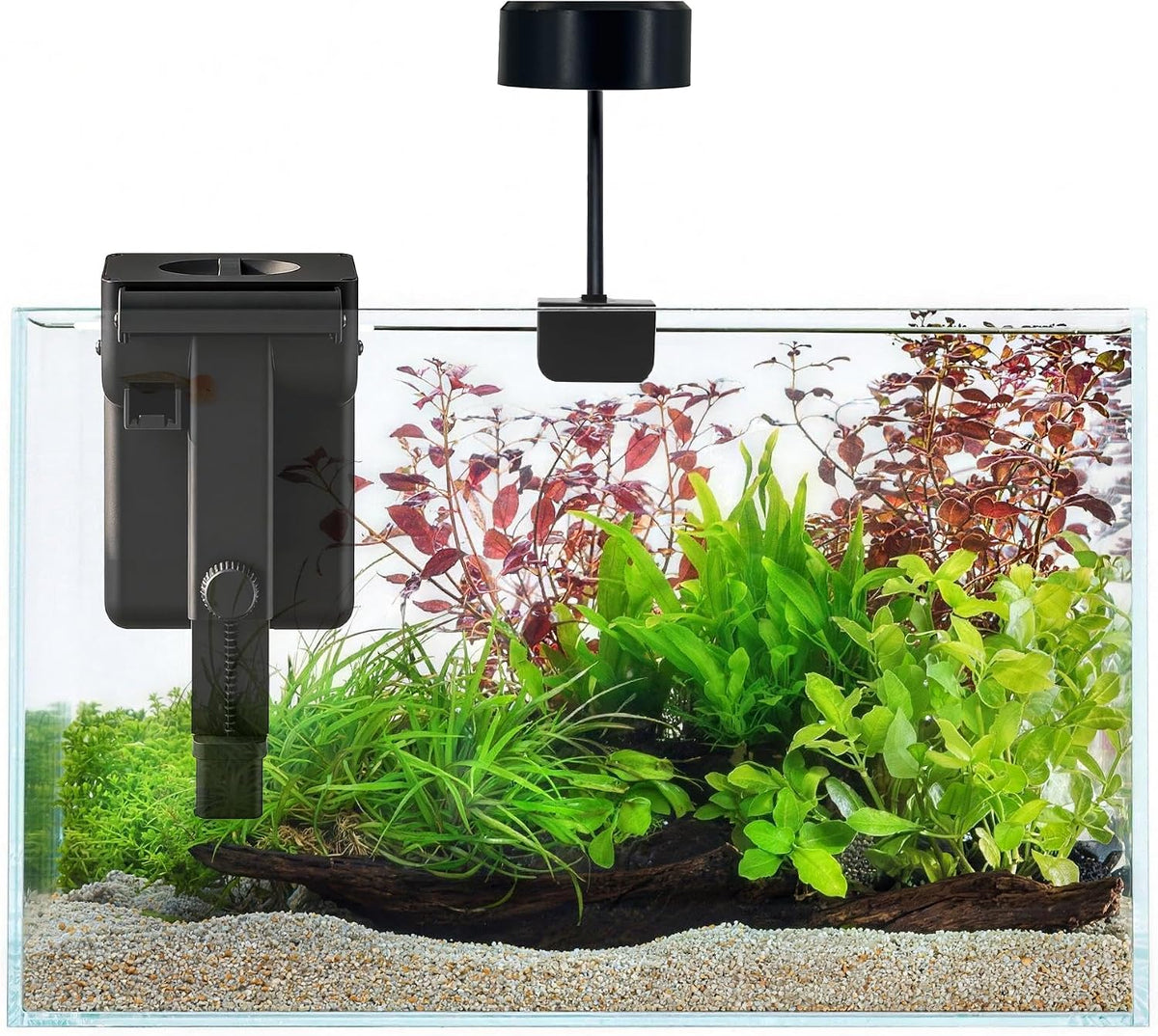 1.5 Gallon Fish Tank Starter Kits - 6 Galloons