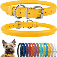 CollarDirect Rolled Leather Dog Collar, Soft Padded Round Puppy Collar, Handmade Genuine Leather Collar Dog Small Large Cat Collars 13 Colors (8-11 Inch, Yellow Textured)
