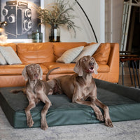 Large Dog Bed Orthopedic Memory Foam Cooling Gel 35x25x8.7 in – Essentials for Dogs - Green - LE / XX-Large - image 3