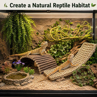 RUNANIA Bearded Dragon Tank Accessories - Medium - image 3