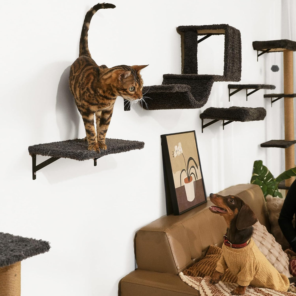 FUKUMARU Cat Wall Shelves - Gray / 4-Piece Set with Hammock - image 4
