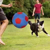 Herding Ball for Dogs & Horses - 20" Ball with Hand Pump - Blue & Red