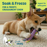 Cool Teething Stick Dental Dog Chew Toy, Soak & Freeze, 8.5" – Essentials for Dogs - Teething Stick - image 4