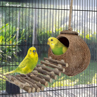 Niteangel Natural Coconut Hamster Hideaway with Ladder - House with Ladder / Natural Surface - image 4