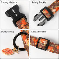 DOGWONG fall pumpkin dog collar in cotton with sunflower design, size large - view 3
