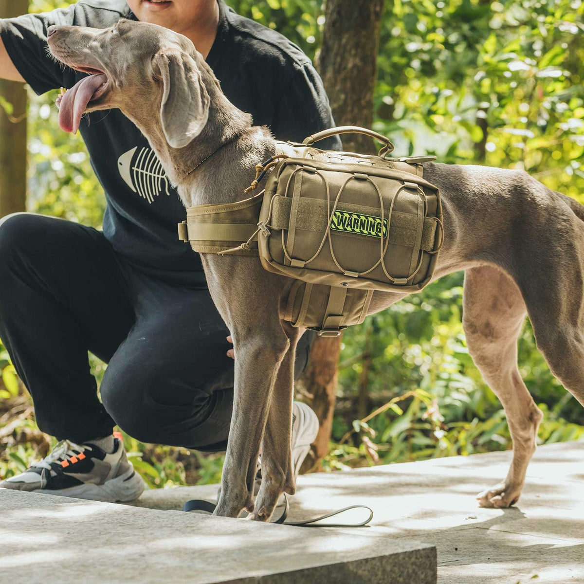 OneTigris Dog Backpack for Medium & Large Dogs - Brown / Large - image 2