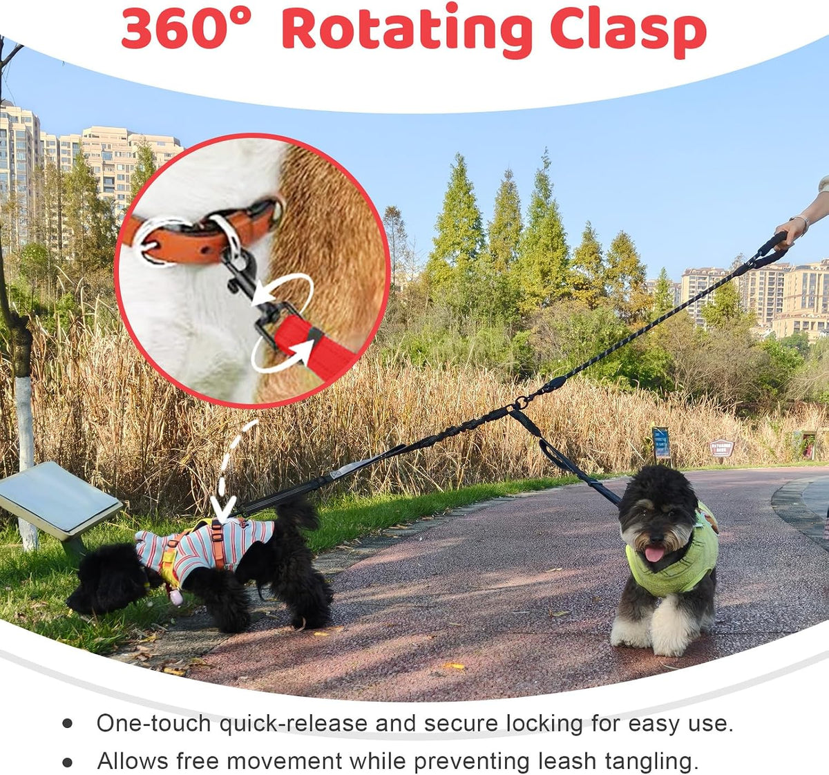 Double Dog Leash, No Tangle Splitter for Two Dogs - Red - image 4