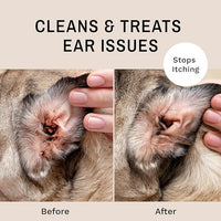 Eye Envy Fresh Ear Cleaning Wipes for Dogs. Made in The USA from Natural Ingredients. Unscented. Prevents Infections. Safe and Non-Irritating. Removes Dirt, Debris, and Wax buildup. 60 Count.
