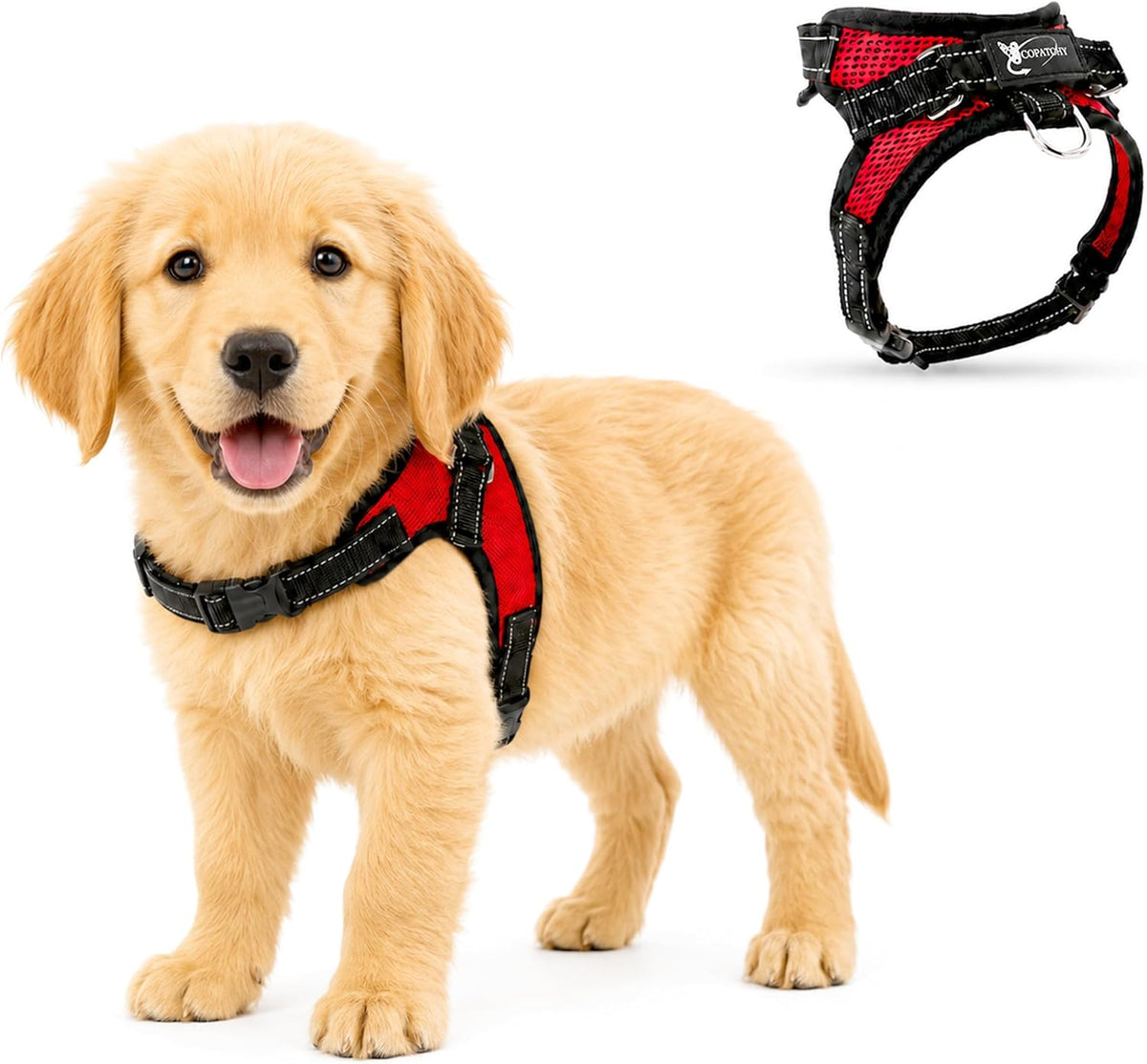 Reflective no pull dog harness in breathable air mesh with top handle and adjustable straps