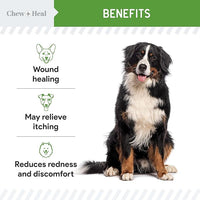 Hypochlorous Acid Spray for Dogs – 8oz Dog Wound Spray for Cuts, Burns, Sores, Abrasions, and More – Non Toxic and Chemical Free HOCI Wound Care – Made in The USA