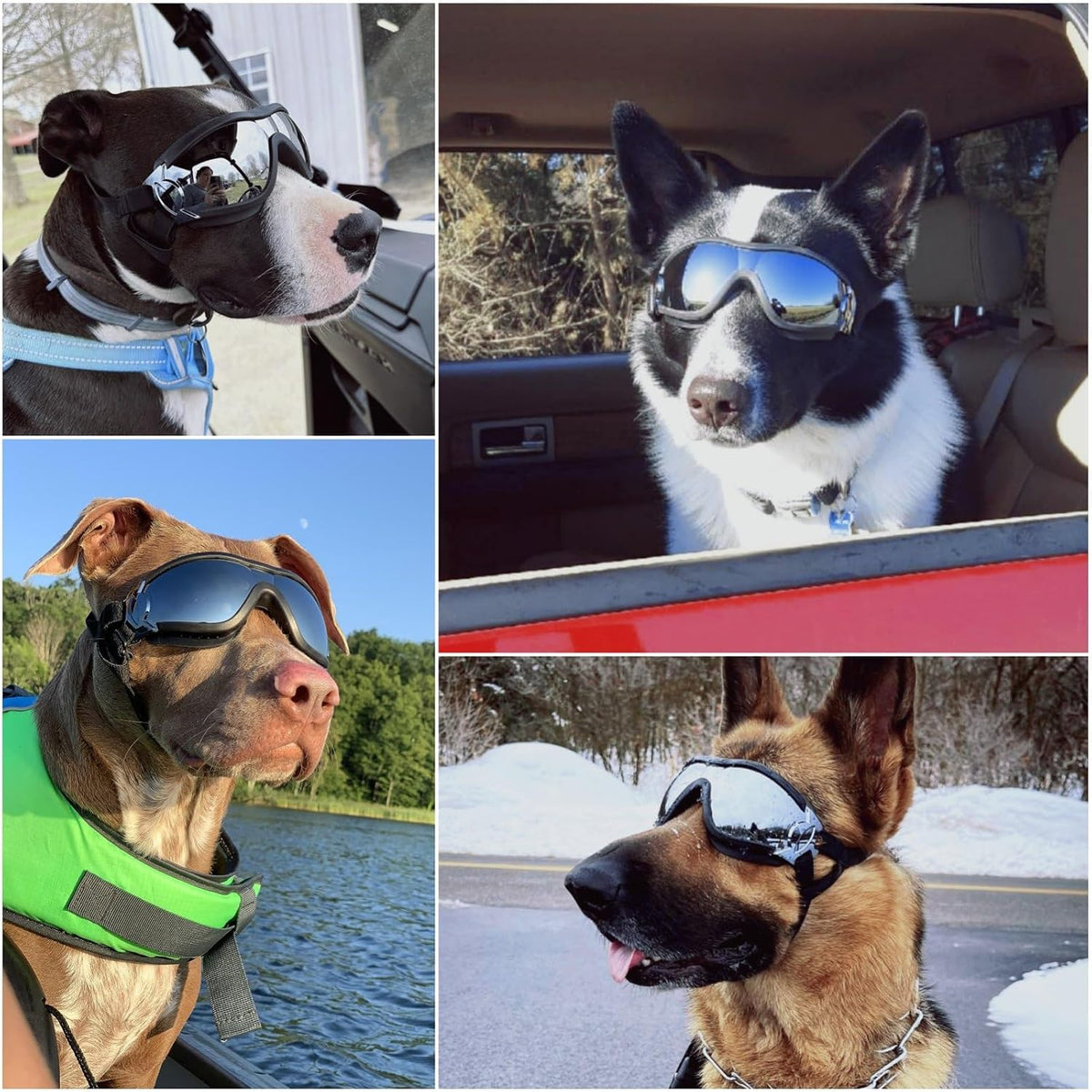 Medium Clear Dog Goggles Eye Protection - Style Black / Large - image 2