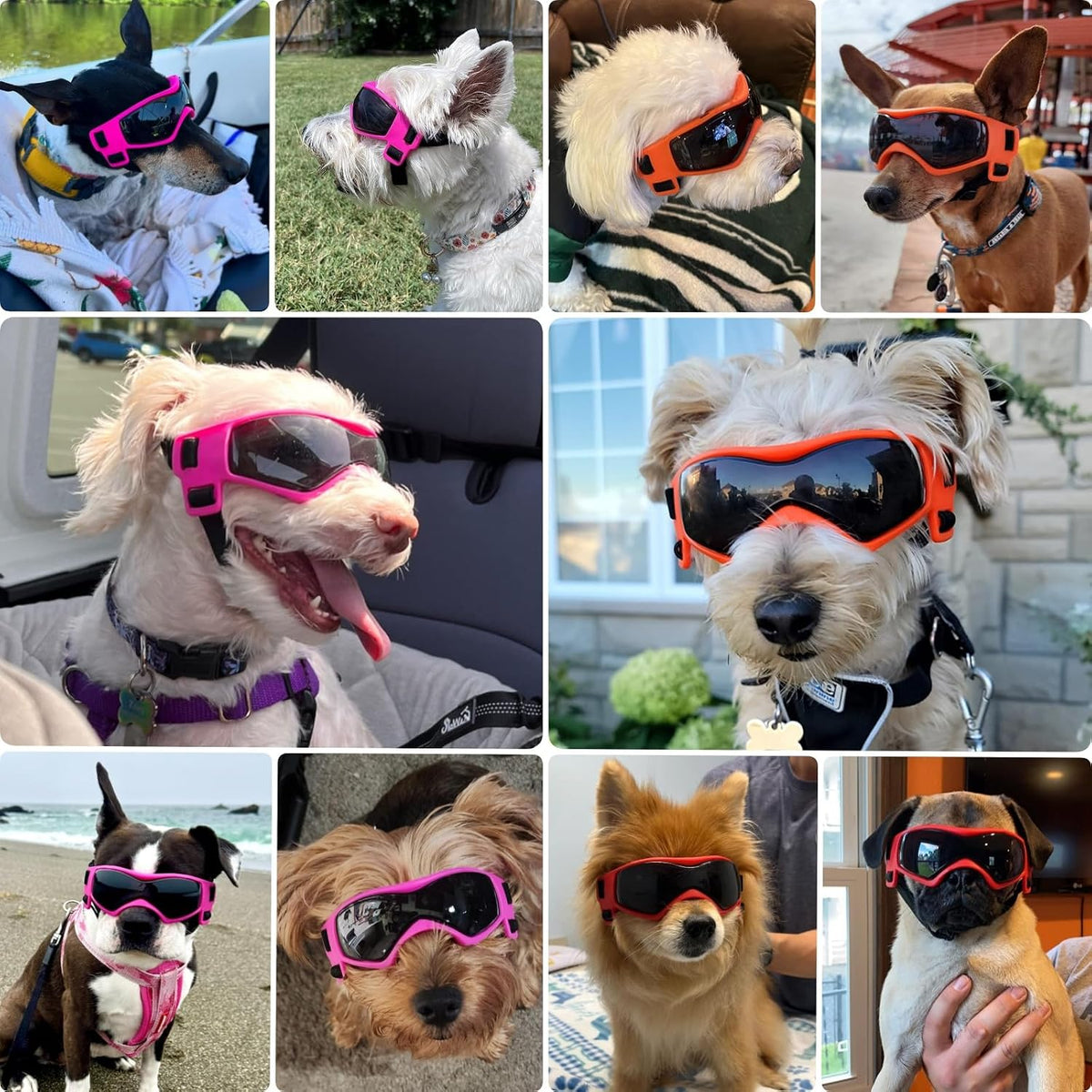 Dog Goggles Small Breed, Dog Sunglasses UV Protection Puppy Eyewear for Small Pet Outdoor Riding - Medium / Orange - image 2