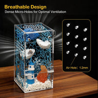 Jumping Spider Enclosure Starter Kit - Blue / Small - image 2