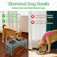 EliteField Elevated Dog Bowls - 2 Bowls + 1 Slow Feeder / Gray - image 3