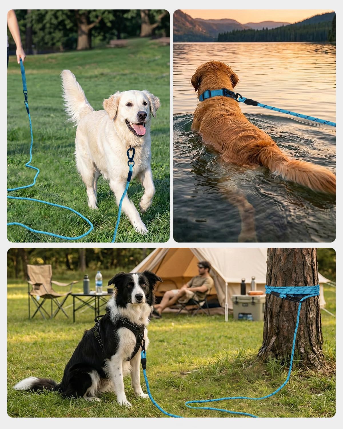 Joytale Long Dog Leash for Yard Tie Out & Recall Training - Blue / 30FT - image 3