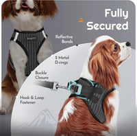 Eagloo Small Dog Harness and Leash Set - M(Chest:16.0"-18.5") / Gray - image 4