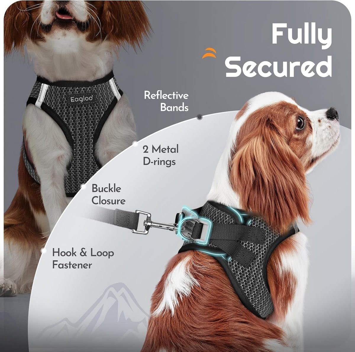 Eagloo Small Dog Harness and Leash Set - M(Chest:16.0"-18.5") / Gray - image 4
