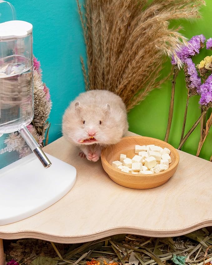 Niteangel Hamster Snack & Treats Toy - Small Animal Natural Treat for Dwarf Syrian Robo Hamsters Gerbils Mice Lemmings Degus or Other Small-Sized Pets