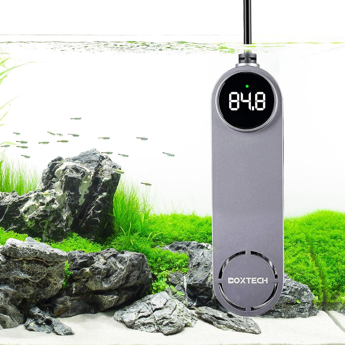 Small Fish Tank Heater, Mini Aquarium Heater - 200w for 25 to 40 gallon tank