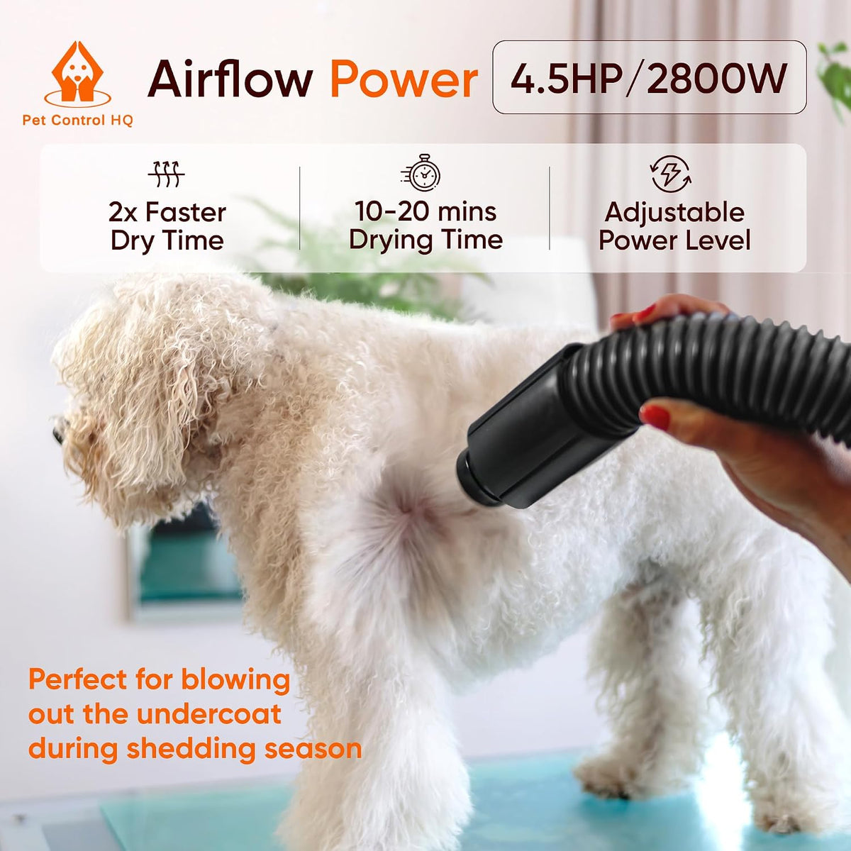 High-Velocity Dog Dryer for Grooming - image 4