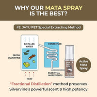 JAYU PET Active MATA Spray – 100% Natural Silvervine Spray for Cats, Liquid Catnip Alternative, Calming Spray for Indoor Kittens, Boosts Play & Engagement, Reduces Stress (1 fl oz)