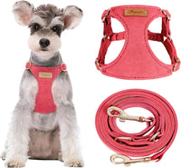 Puppytie Small Dog Harness and Leash Set, Pink, S – Essentials for Dogs - red-camellia / M(16.5-31lb）