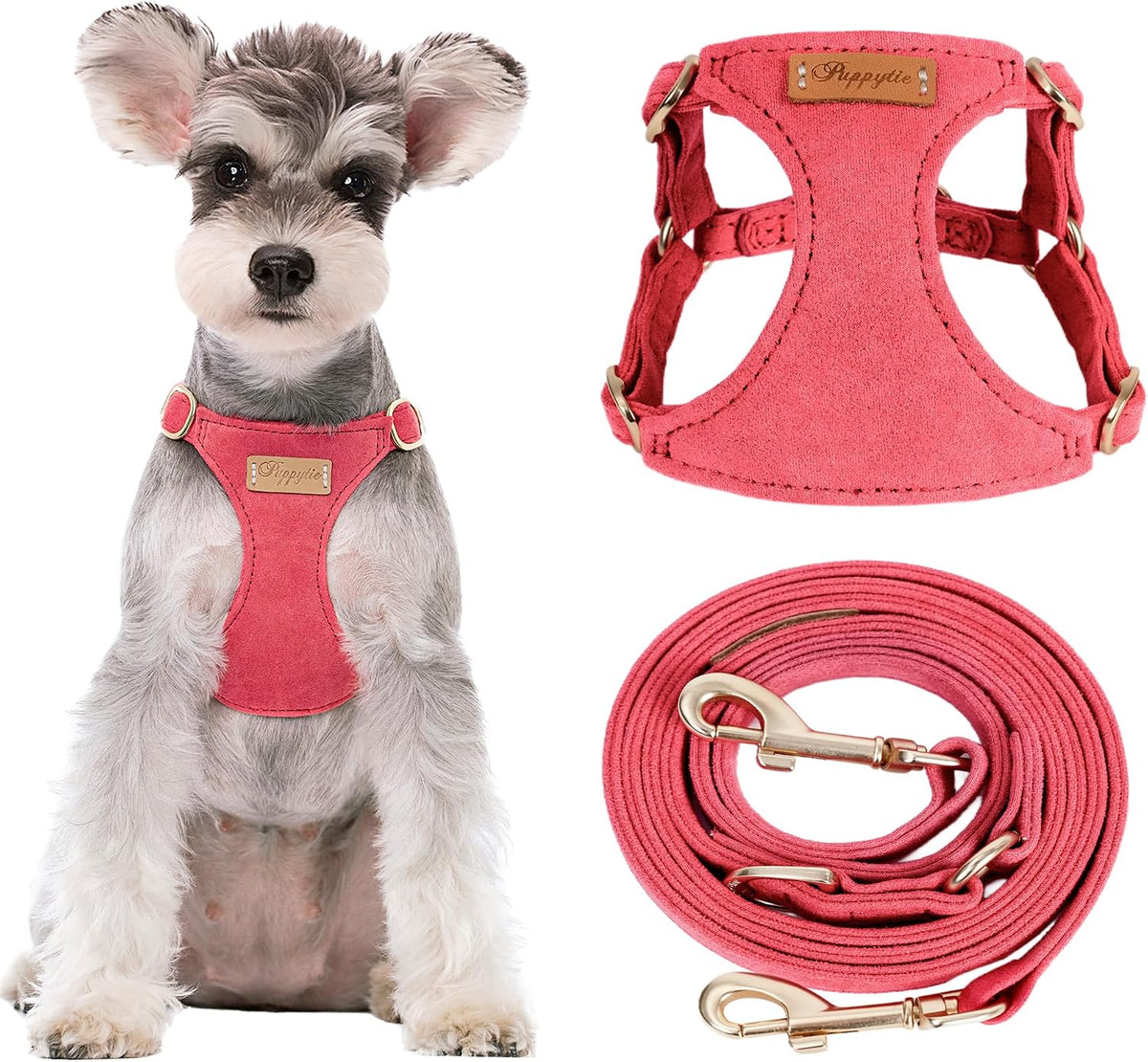 Puppytie Small Dog Harness and Leash Set, Pink, S – Essentials for Dogs - red-camellia / M(16.5-31lb）