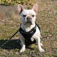 Amazon Basics No Pull Dog Harness, Adjustable Front Clip, Tactical Vest, X-Large, Black