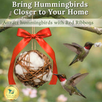Bird Nesting Material Holder for Hummingbirds - 2 Balls Hummingbird Welcome Set - image 2
