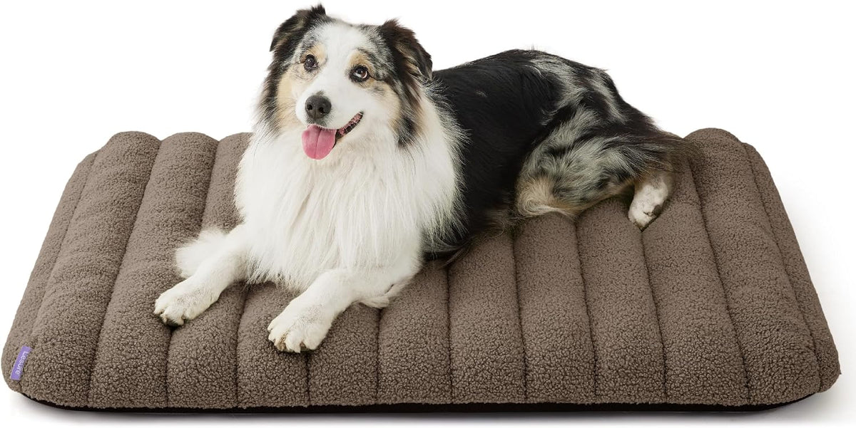 LE SURE Cute Orthopedic Dog Bed Large Sized Dog, Flat Pet Mat - 36"L x 27"W x 4"Th / Brown