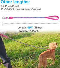 Reflective Dog Leash 2/3/4/6/10ft Braided 1/2" Strong Nylon Rope – Essentials for Dogs - 4ft * 1/2" / Pink - image 3