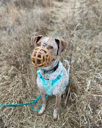 Mayerzon Dog Muzzle, Breathable Basket Muzzles for Small, Medium, Large and X-Large Aggressive Dogs Beagle German Shepherd Doberman, Cage Mouth Guard Stop Biting Chewing for Grooming Training