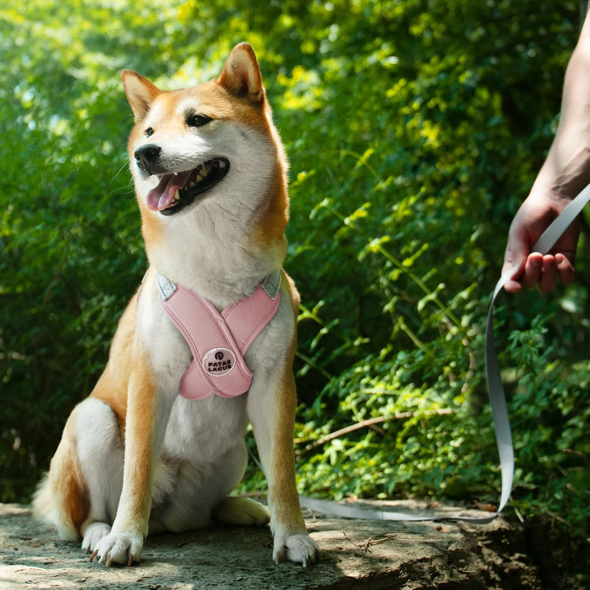 Patas Lague Dog Harness Medium Sized Dog Pet Vest with Leash Set Pink - Pink / S (Neck 18.1-21.2'' Chest 21.2-25.2'') - image 2