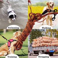 Long Dog Leash Tie-Out Check Cord - Orange / 15 feet - image 4