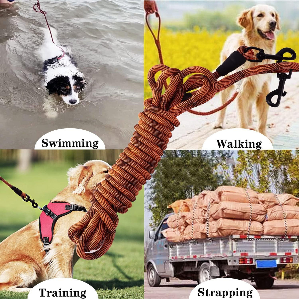 Long Dog Leash Tie-Out Check Cord - Orange / 15 feet - image 4