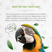 Birds Feathers | Natural Herbal Dietary Pet Supplement for Birds | Support Healthy Feathers | Alcohol-Free Extract, Dandelion Root, Calendula, Alfalfa, Peppermint, Fennel 2 oz