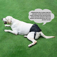 Dog Lift Harness for Dogs with Disabled Arthritis and Weak Back Legs, humanized Design with Comfortable Materials, Adjustable Back Legs and Straps, Suitable for Helping Dogs to Recover and Walk. (S)