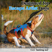 rabbitgoo Escape Proof Dog Harness for Large - Red & Blue / Small - image 2