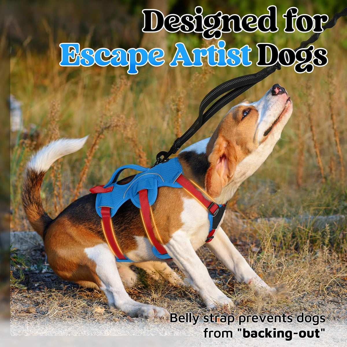 rabbitgoo Escape Proof Dog Harness for Large - Red & Blue / Small - image 2
