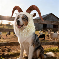 Funny Pet Reindeer Moose Costumes for Dog - Goat / Size M