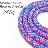 Double Dog Leash Coupler Heavy Duty Extension Rope for Two Large Dog – Essentials for Dogs - Large (1/2"D x 33"L) / Pinkblue - image 3