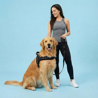6FT Reflective Dog Leash for Small Medium Dogs, 5/8" Width - Black / 3/4''x 6 FT - image 2