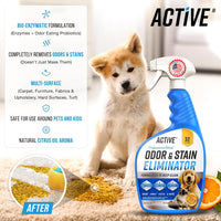 Pet Odor and Stain Eliminator, Stain Remover Spray for Carpet - image 2