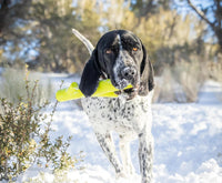 Hyper Pet Fetching Dog Toys - One Size / Stick - image 4