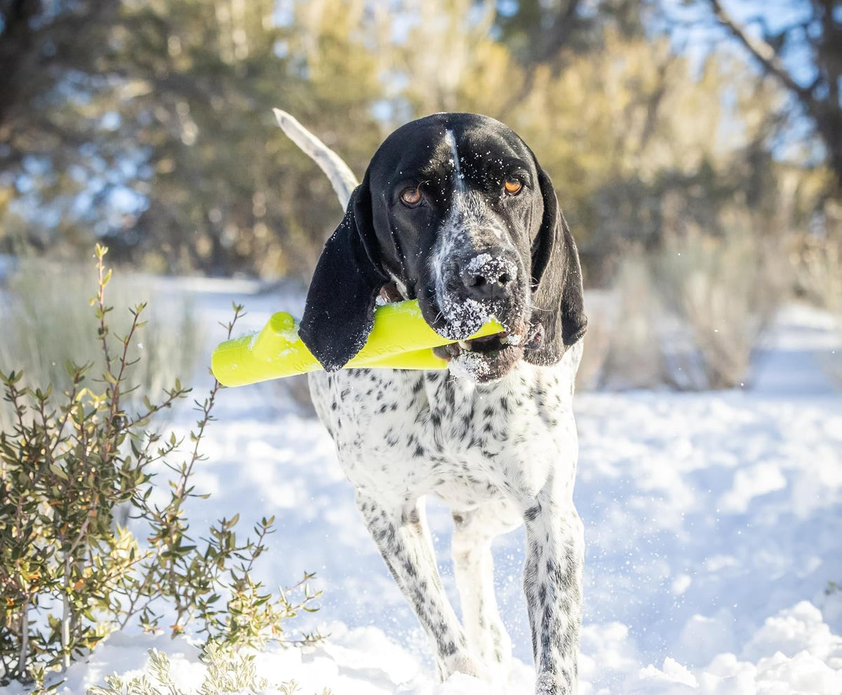 Hyper Pet Fetching Dog Toys - One Size / Stick - image 4
