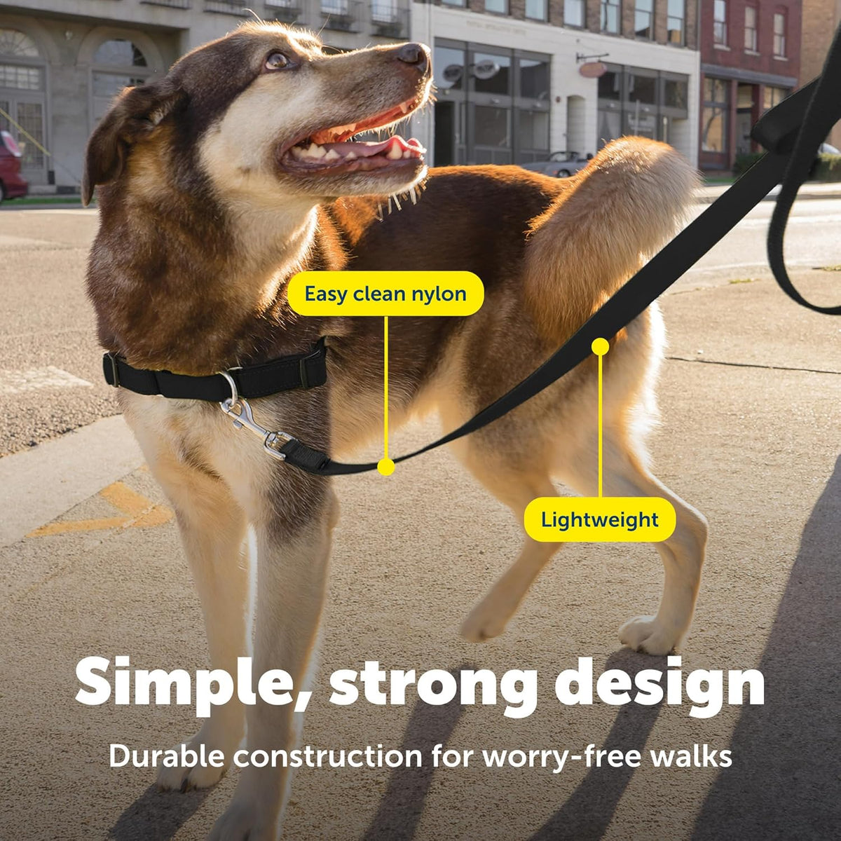 PetSafe Nylon Dog Leash, Strong, Durable - 1 Count (Pack of 1) / Black - image 2