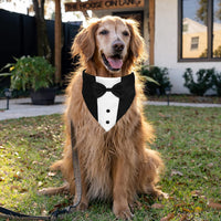 GOYOSWA Dog Tuxedo Suit Wedding Bandana Collar with Bow Tie - Large: Neck 15"-25" - image 4