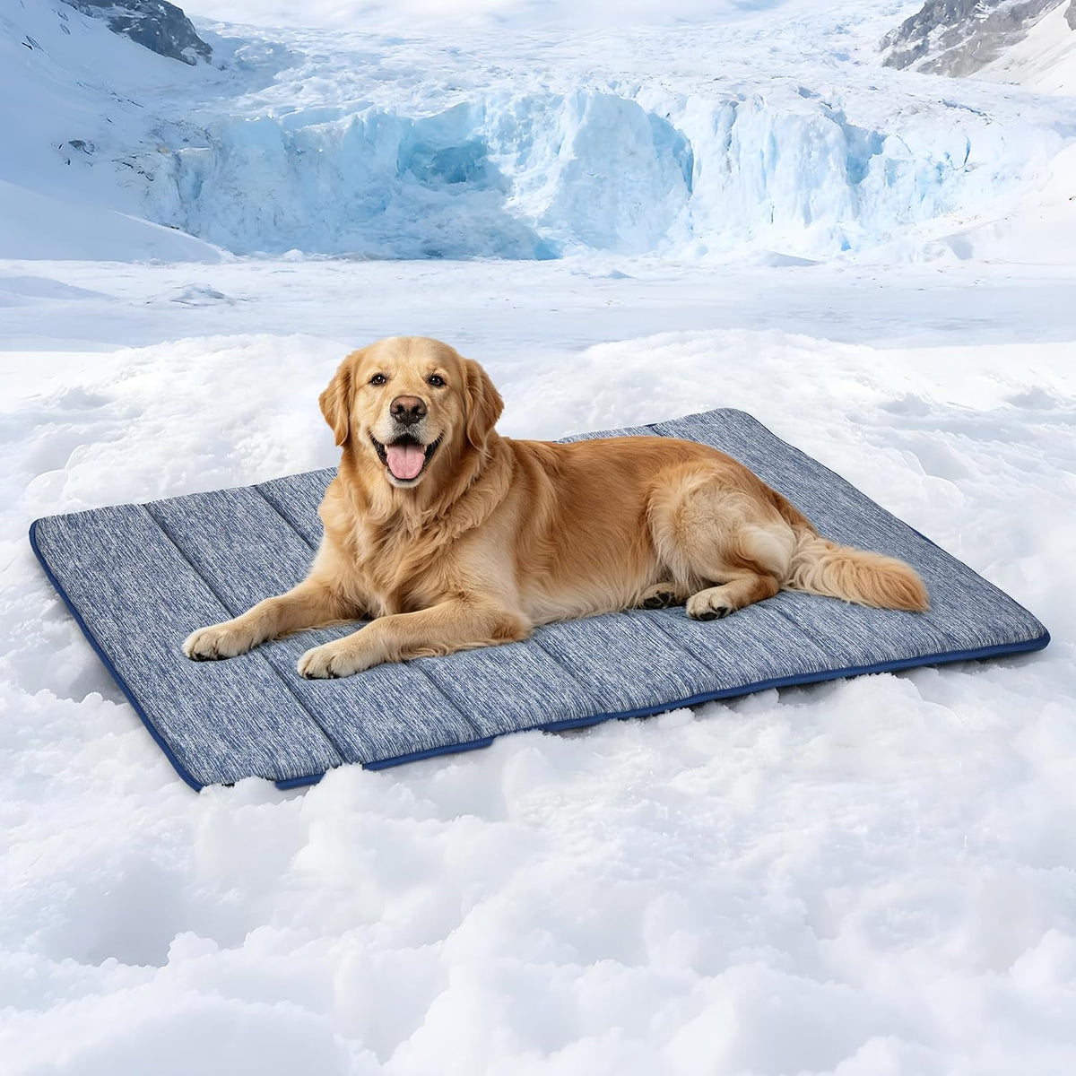 Dog Cooling Mat for Large Dogs, 35"x23" Memory Foam Pet Pad – Essentials for Dogs - Wander Blue / 41"L x 27"W x 0.8"H